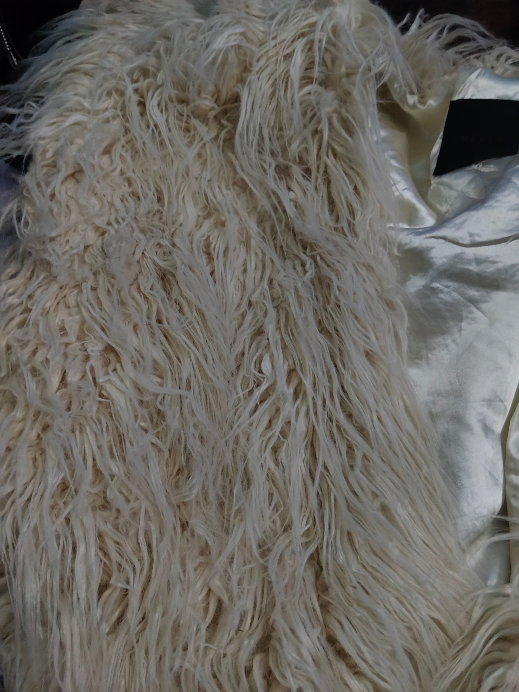 Faux Fur Shaggy Jacket ya Fuzzy Cropped Jacket — pre-loved Seasonal Categories on Slayyitt
