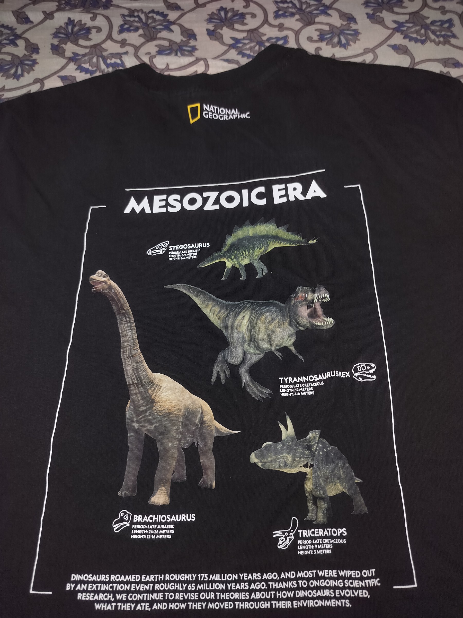 National geographic Men Tshirt — pre-loved Vintage & Thrift on Slayyitt