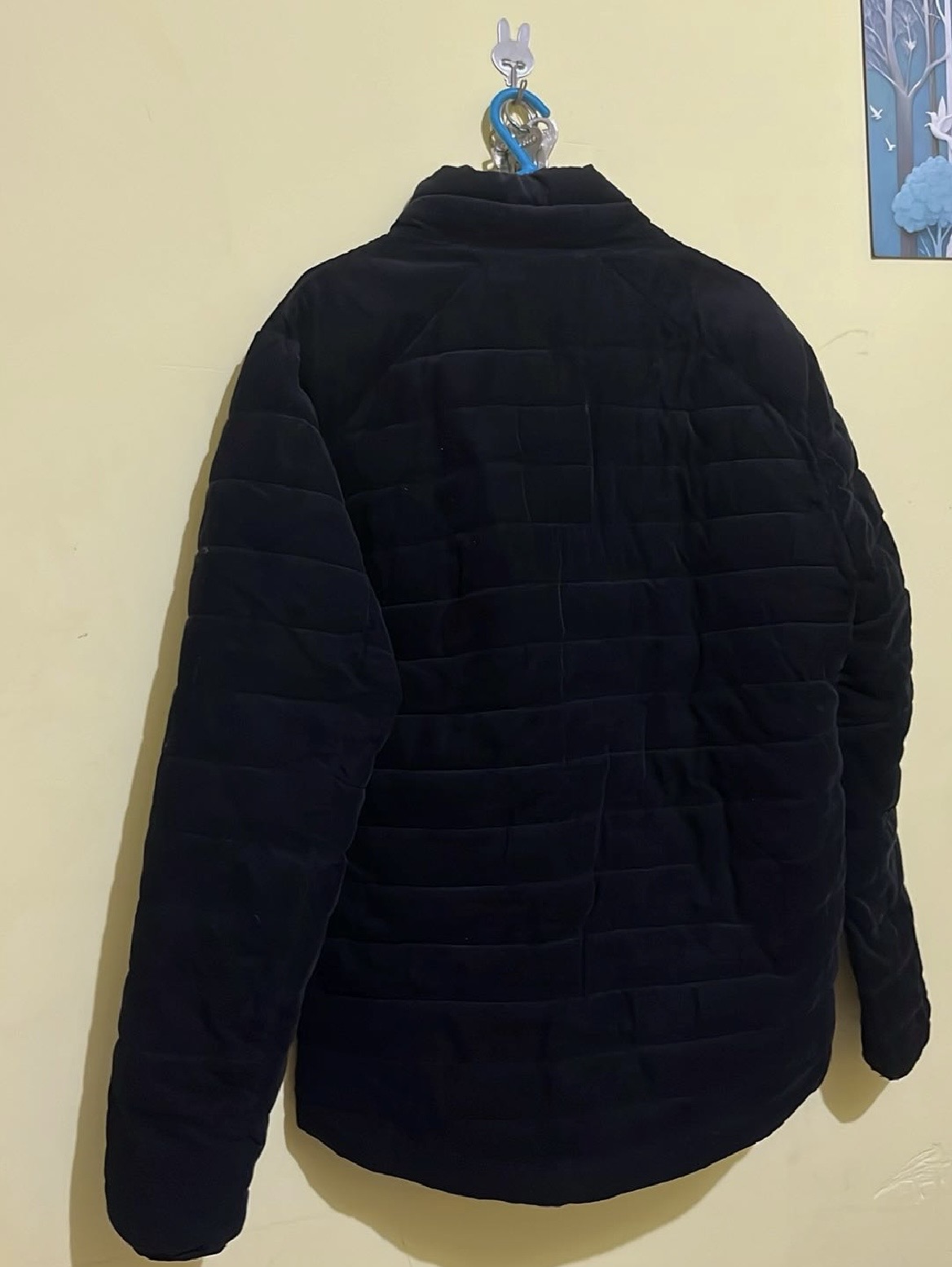 Levi’s jacket — pre-loved Tops on Slayyitt