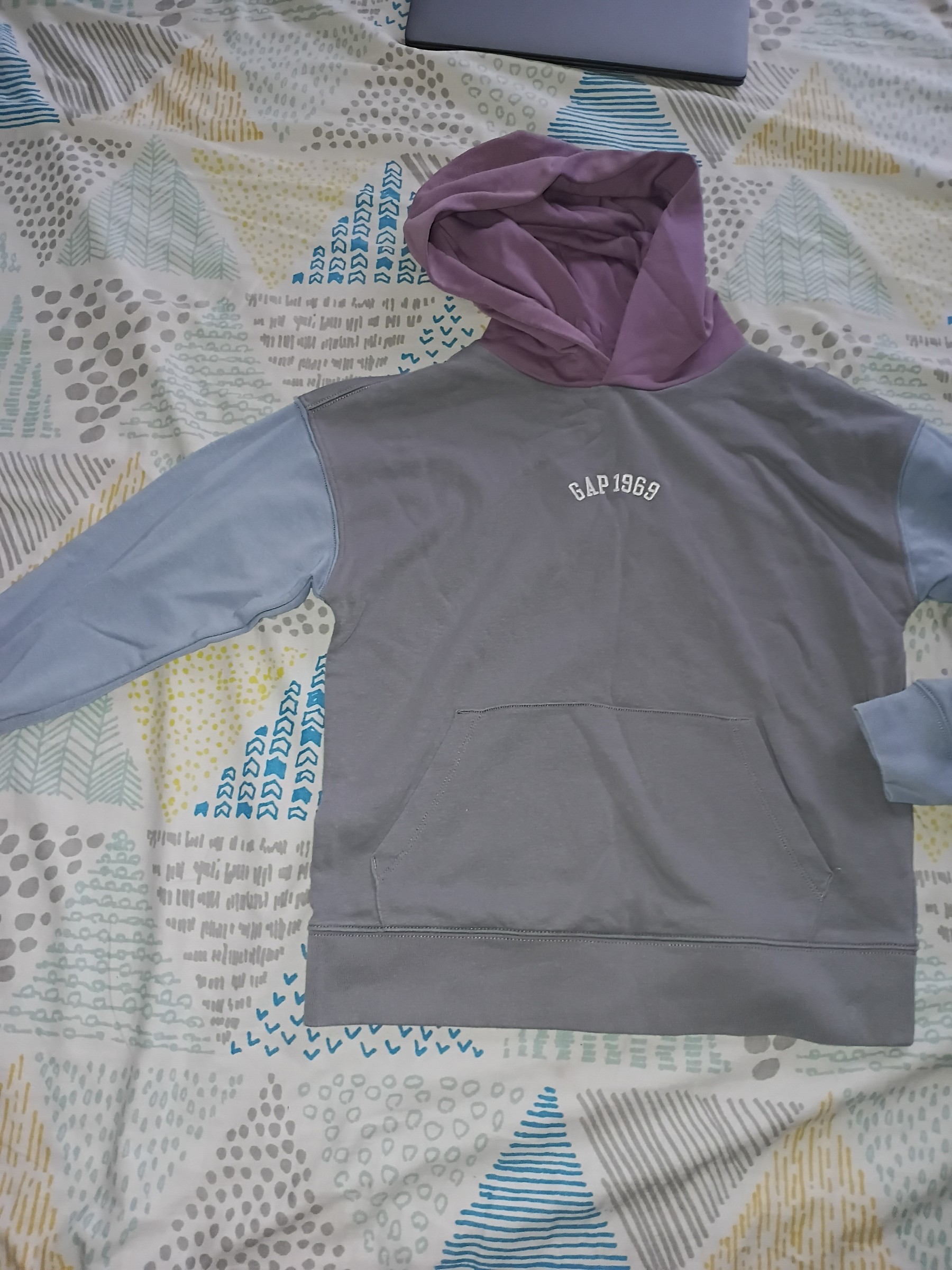 GAP HOODIE — pre-loved Seasonal Categories on Slayyitt