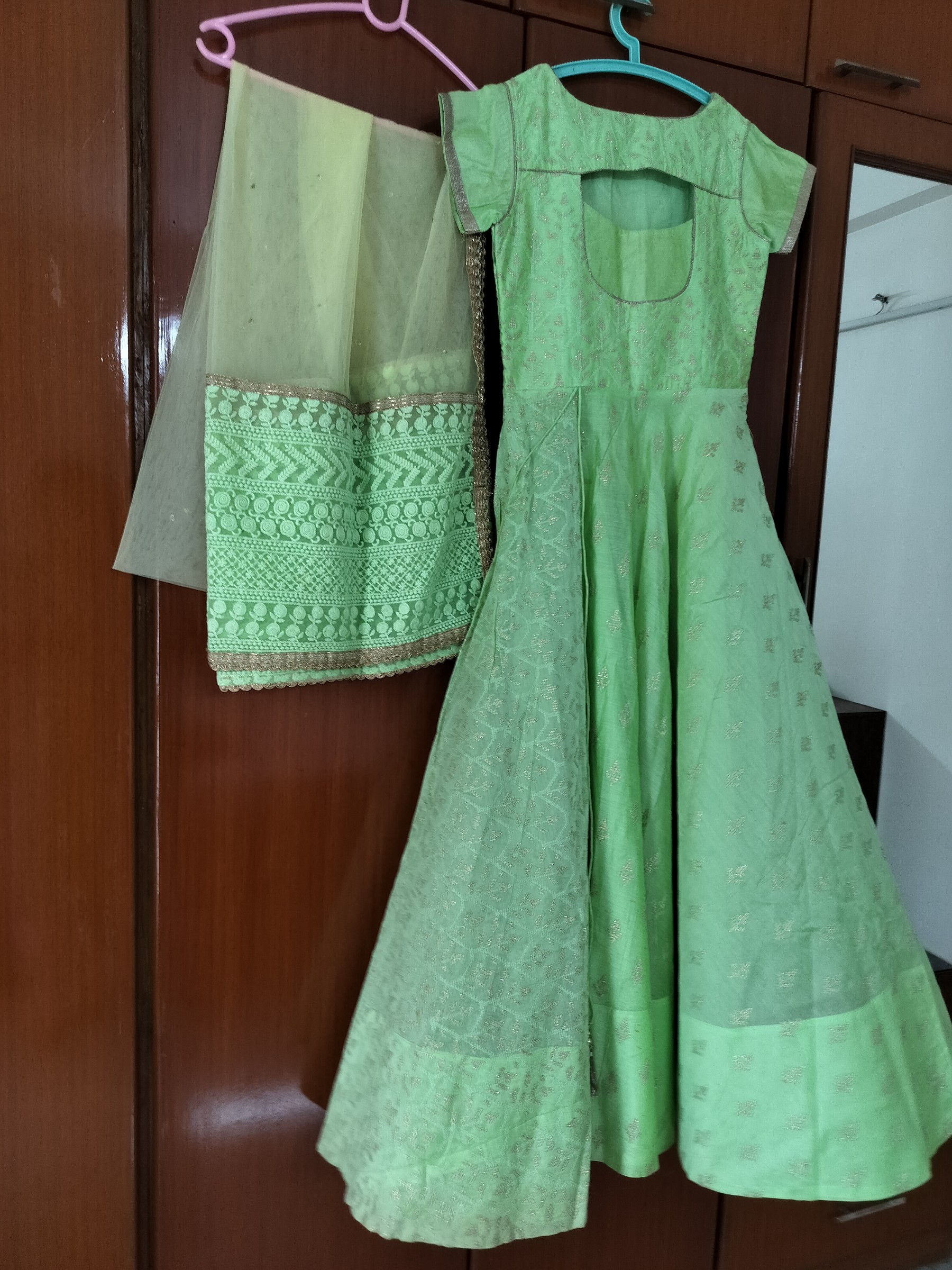 Pistachio green floor length anarkali — pre-loved Indian Festival & Wedding Wear on Slayyitt