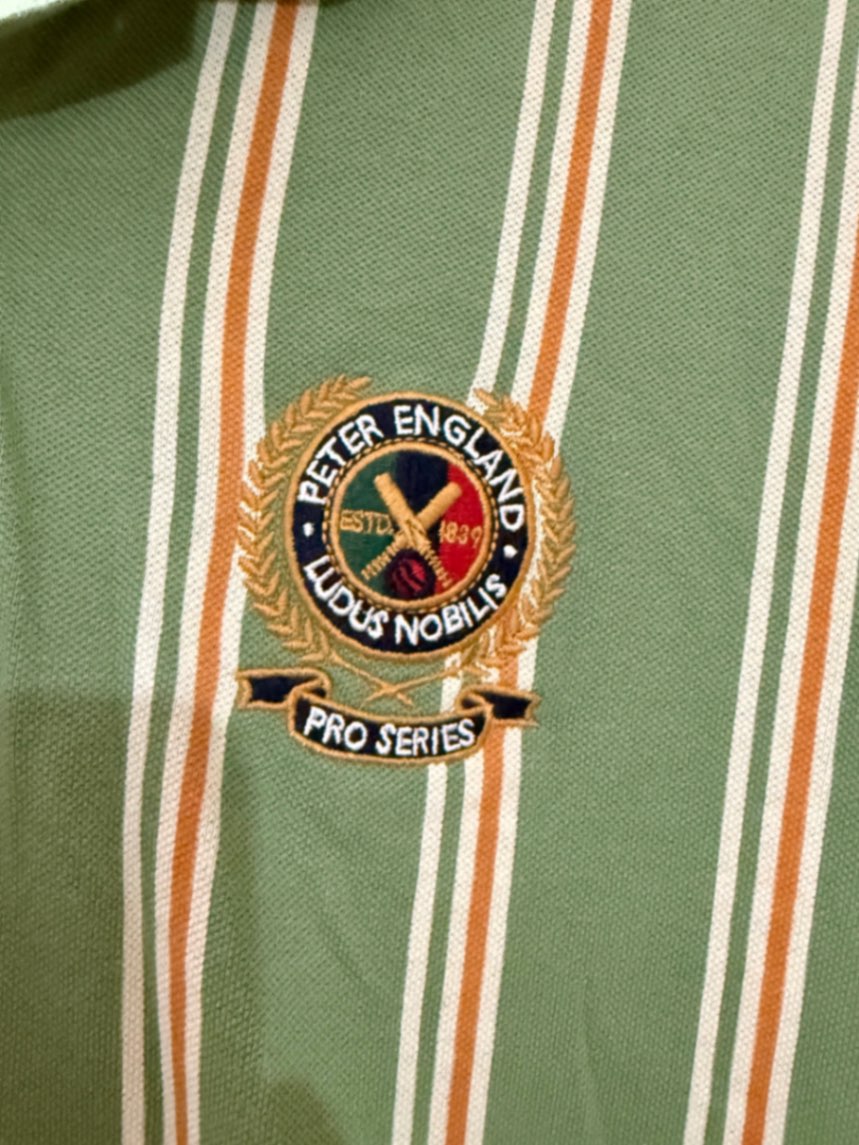 Peter England Sport Striped Polo T-Shirt – Green | Size L — pre-loved Tops on Slayyitt