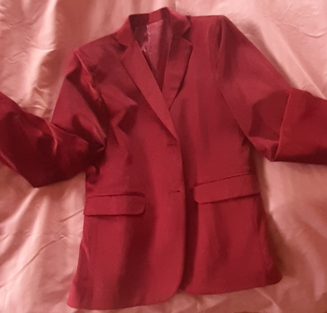 Red velvet formal blazer — pre-loved Dresses & One-Pieces on Slayyitt